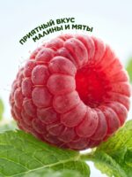 БАД к пище «Хлорофилл» со вкусом малины и мяты — изображение 8